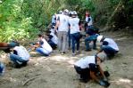CAEI y Medio Ambiente siembran 1,800 árboles y manglares en San Pedro de Macorís