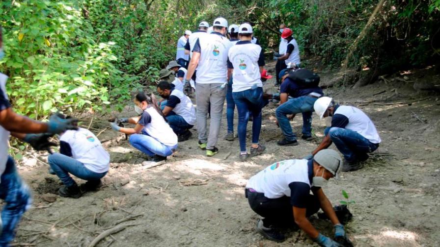 CAEI y Medio Ambiente siembran 1,800 árboles y manglares en San Pedro de Macorís