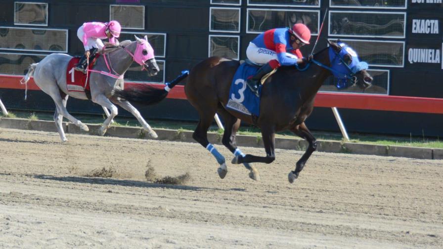 Arion y Cataleya sorprenden en el V Centenario; pool paga sobre los RD$98 mil 