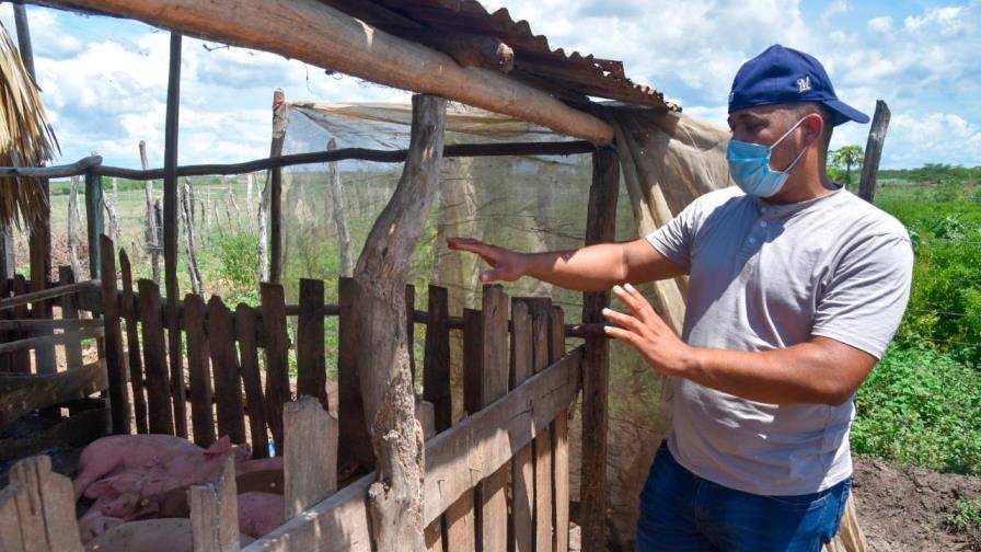 Tampoco faltará carne de cerdo en Navidad