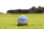 Celebrarán torneo de golf Hard Rock en su 50 Aniversario