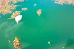 Ola de peces muertos en Sabana de la Mar ha reducido, según pescadores Ola de peces muertos en Sabana de la Mar ha reducido, según pescadores