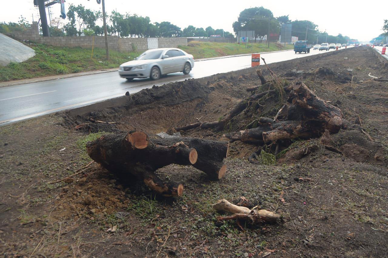 Tala indiscriminada de árboles en varios puntos de Santiago.