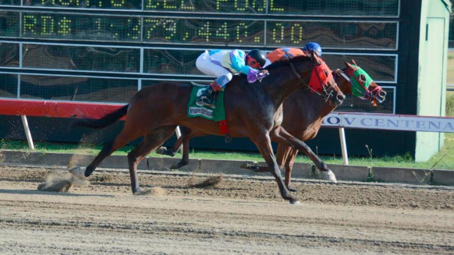 Carreras este sábado en el V Centenario; 2.2 millones acumulados en Poolpote Carreras este sábado en el V Centenario; 2.2 millones acumulados en Poolpote