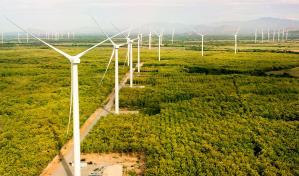 Las empresas que emiten bonos verdes reducen su contaminación, según el BPI