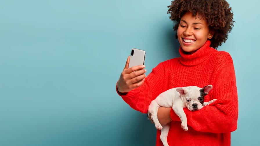 Tilin, la primera ‘superapp’ dominicana que te ayuda a cuidar de tu mascota