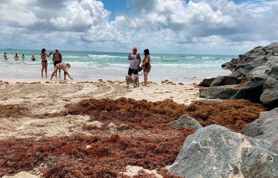 Florida emite alerta por el alto nivel de algas tóxicas en su lago más grande