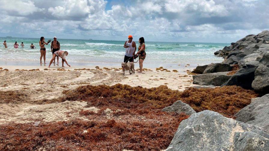 Florida emite alerta por el alto nivel de algas tóxicas en su lago más grande
