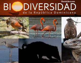 Biodiversidad 