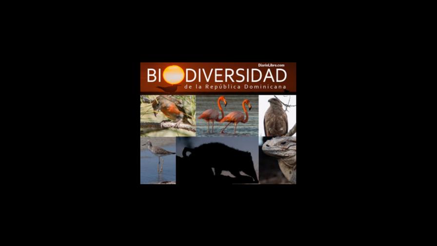 Biodiversidad 