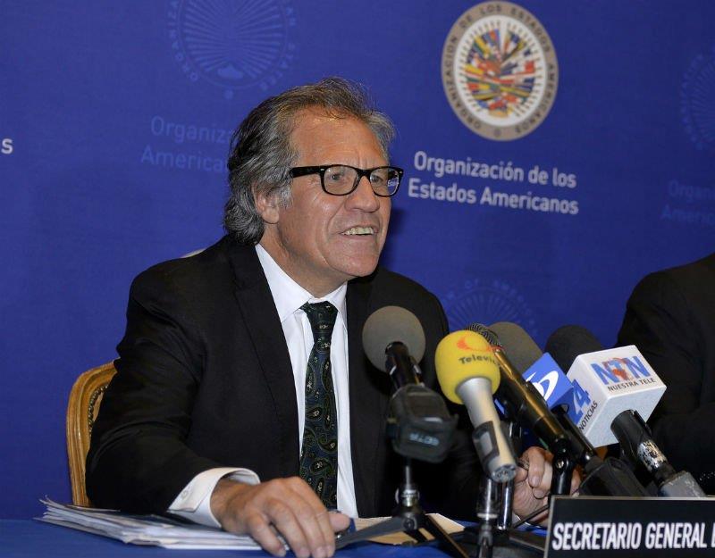 Pese a tensión, esperan informe de la OEA se acoja a los hechos