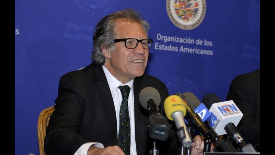 Pese a tensión, esperan informe de la OEA se acoja a los hechos Pese a tensión, esperan informe de la OEA se acoja a los hechos