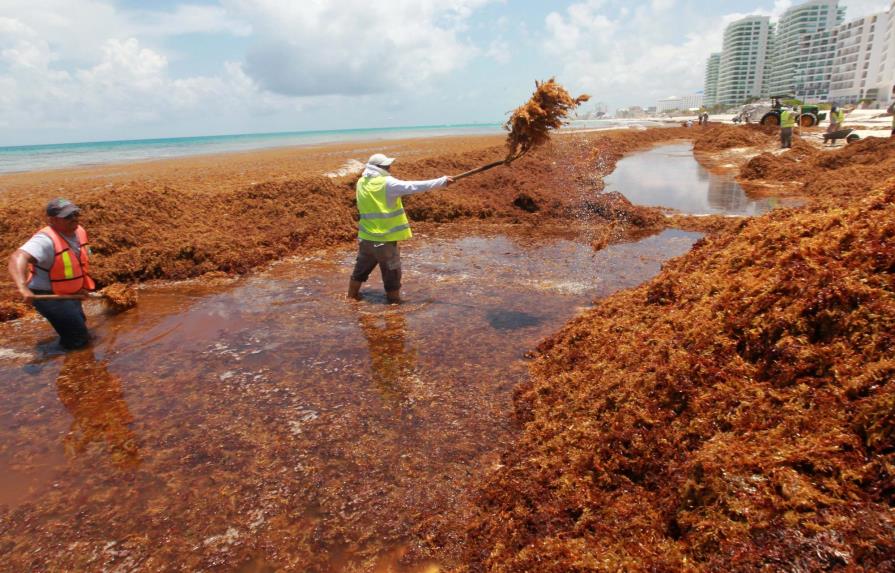 México pidió ayuda a Estados Unidos para enfrentar problema algas en playas