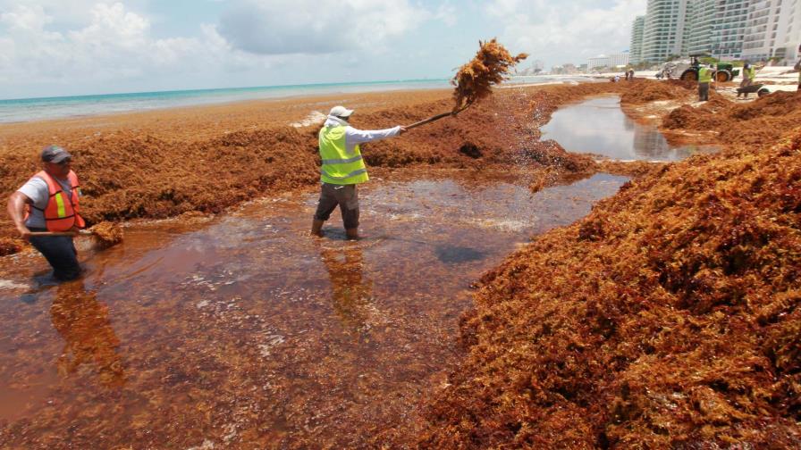 México pidió ayuda a Estados Unidos para enfrentar problema algas en playas