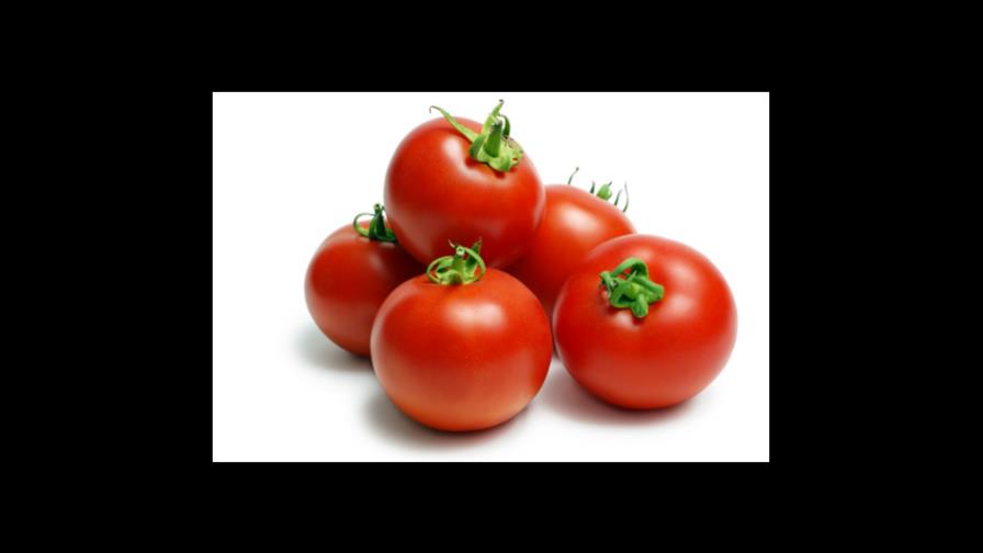 El omnipresente y versátil Tomate El omnipresente y versátil Tomate