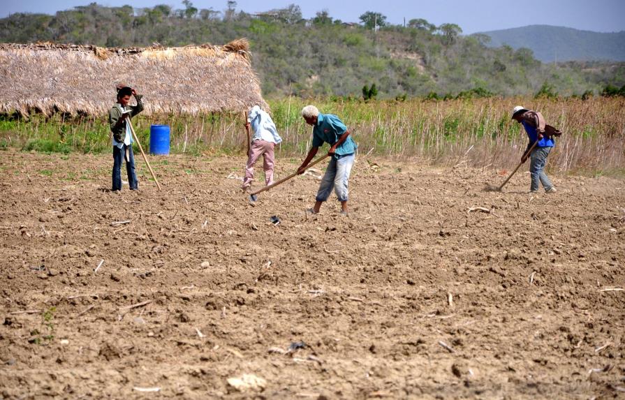Prolongada sequía obliga a productores a racionar el agua