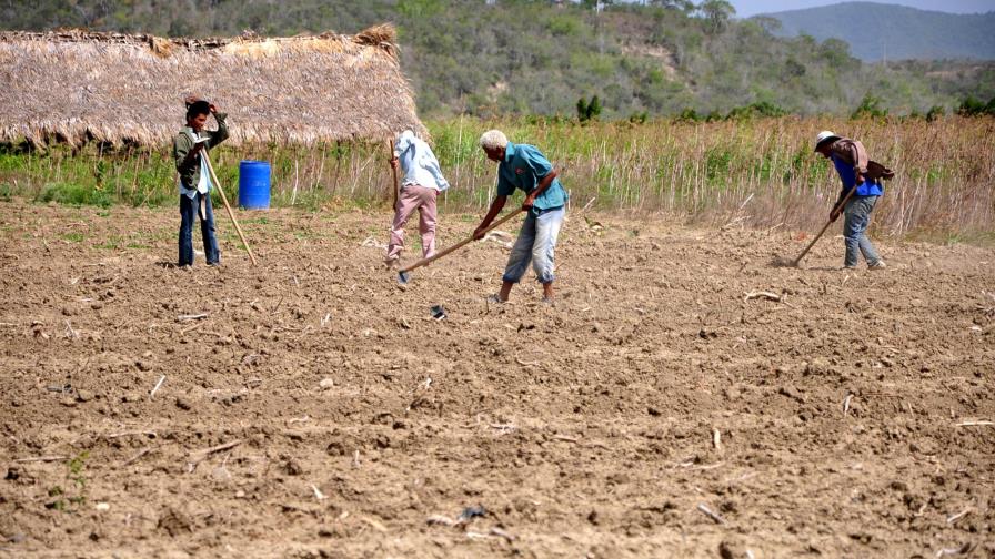 Prolongada sequía obliga a productores a racionar el agua Prolongada sequía obliga a productores a racionar el agua