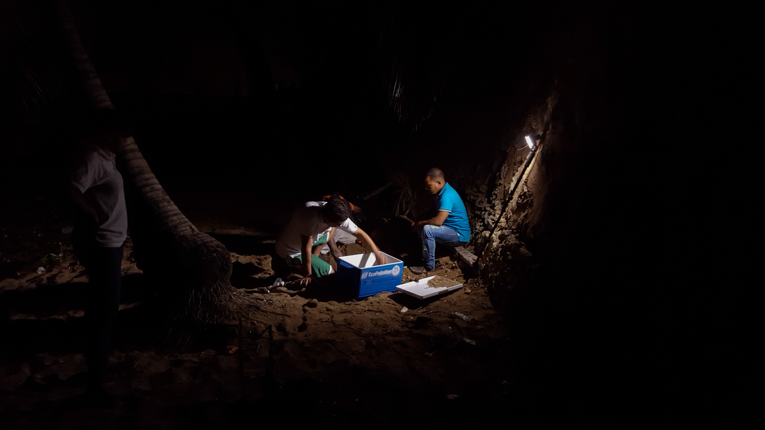Los huevos fueron retirados por seguridad.