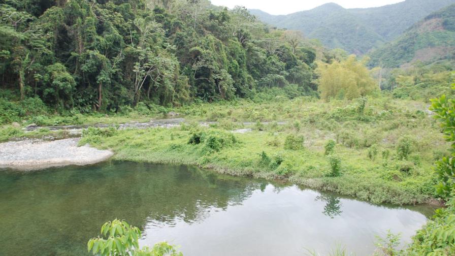 Ecologista atribuye la sequía a la depredación de los bosques