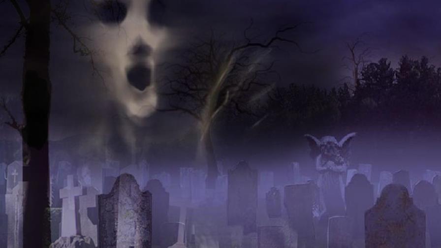 Fantasmarium dominicensis Fantasmarium dominicensis