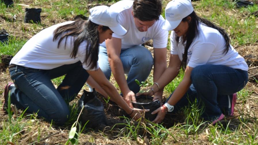 Brugal reafirma su compromiso ambiental de reforestar