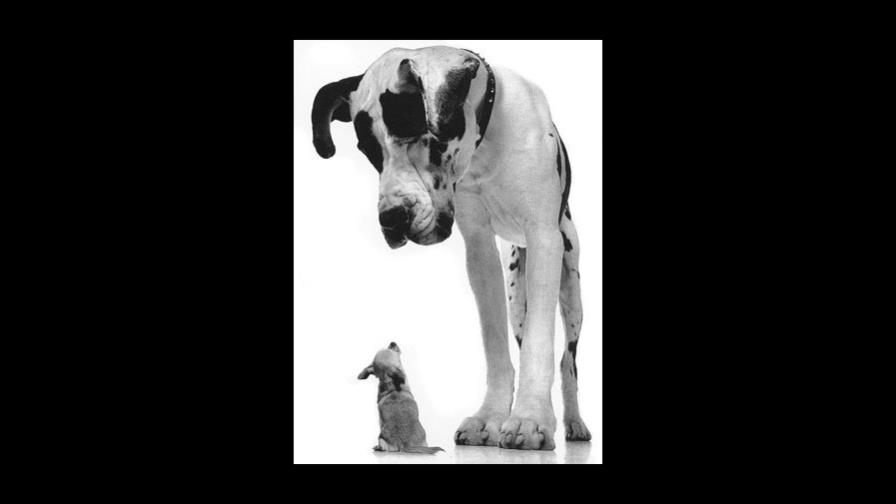 Quiere ser el que manda Quiere ser el que manda