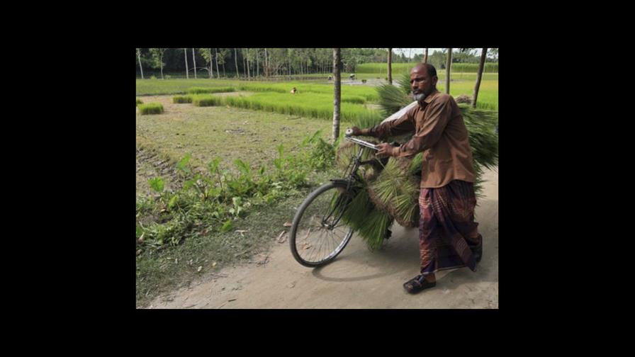 India y Bangladesh resuelven vieja disputa fronteriza