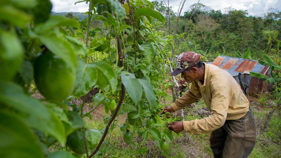Instituto Agrario inicia proceso de titulación a parceleros en Santiago Instituto Agrario inicia proceso de titulación a parceleros en Santiago