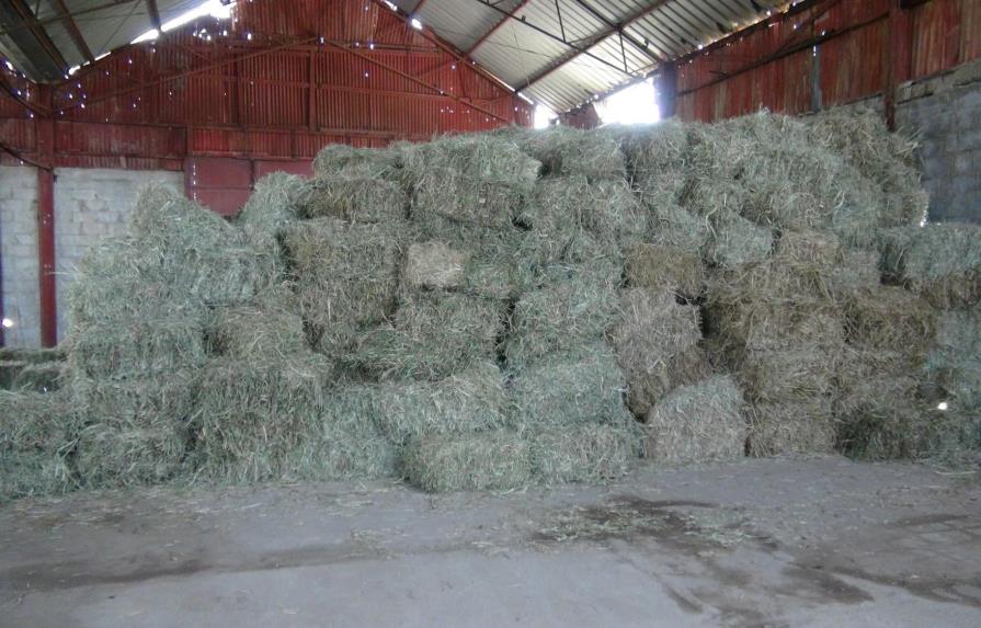 Productores del sur reciben pacas de hierba por sequía