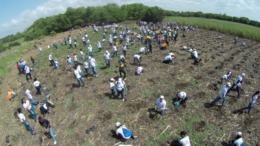 Brugal realiza tercera jornada de siempre de mangles en San Pedro de Macorís Brugal realiza tercera jornada de siempre de mangles en San Pedro de Macorís