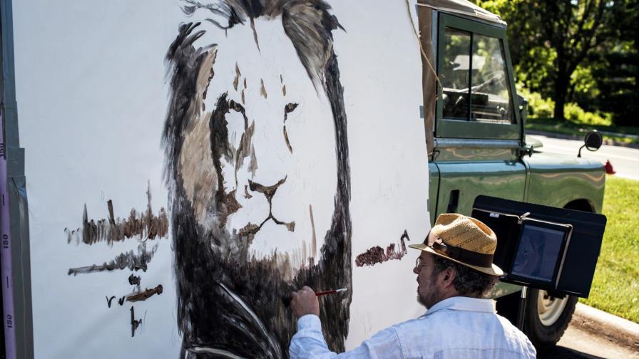 Zimbabue acusa a otro estadounidense de caza ilegal de león 