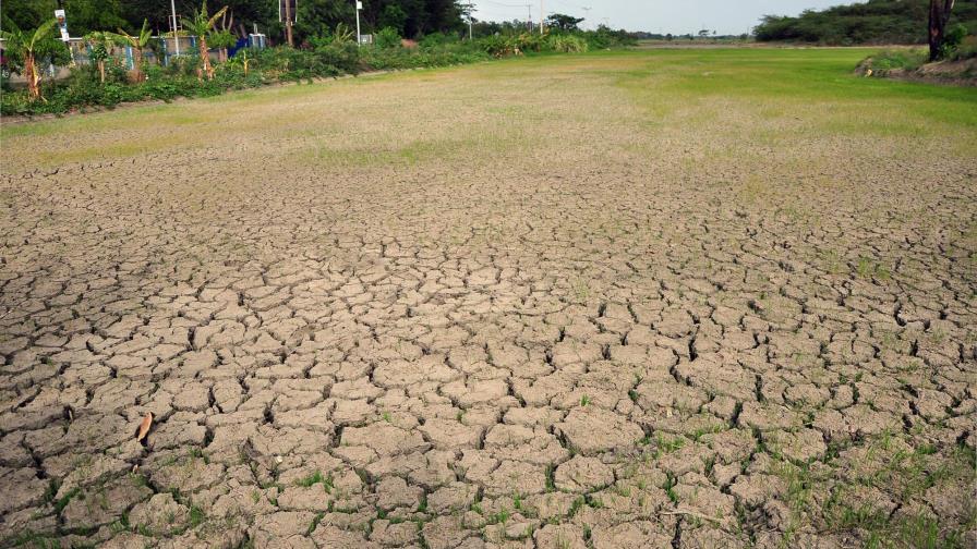 Comerciantes piden al Gobierno que no atienda únicamente el tema haitiano