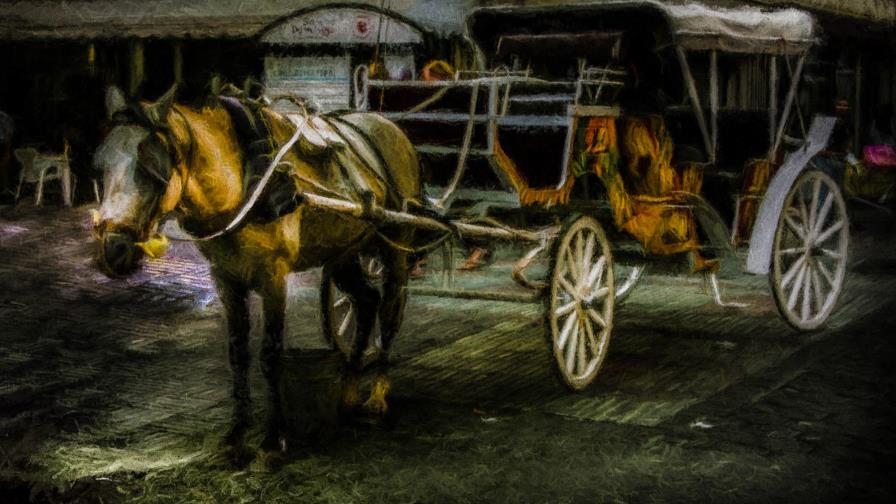 Fotógrafos harán exposición con técnica de edición Oil Paint 