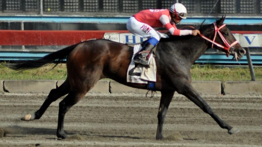 Tempestad ganó la estelar 5ta carrera en el hipódromo V Centenario