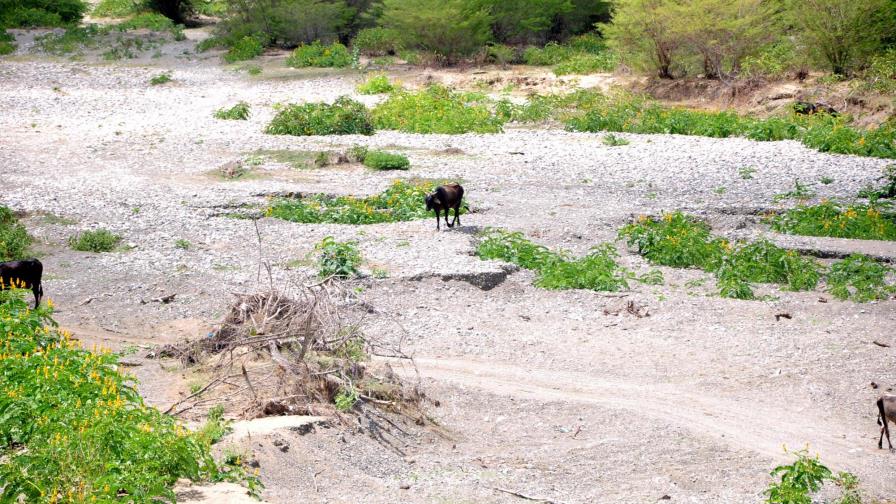 Seis ríos están totalmente secos en varios municipios de Puerto Plata 