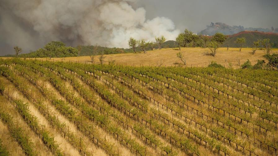Más de 10.000 bomberos siguen lucha contra 23 incendios en California, EE.UU.