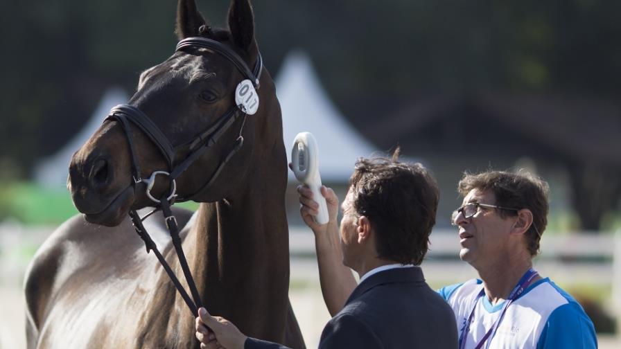 Minimizan brote de muermo en instalaciones olímpicas de Río de Janeiro