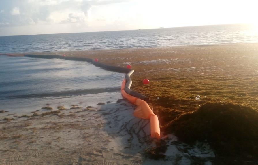 Prueban con éxito una barrera para frenar las algas en playas de Bávaro 