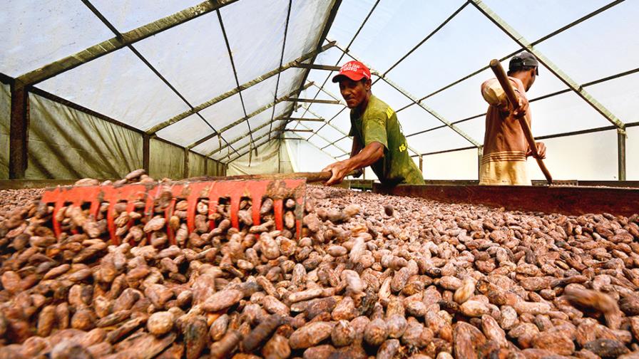 El Poder Ejecutivo prepara proyecto destinado a aumentar la productividad