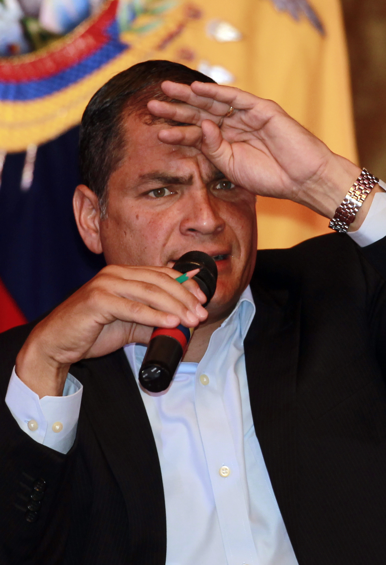 El presidente de Ecuador Rafael Correa.