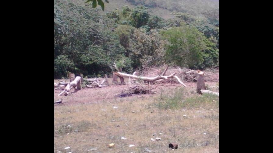Apresan hacendado acusado de talar árboles en El Seibo Apresan hacendado acusado de talar árboles en El Seibo
