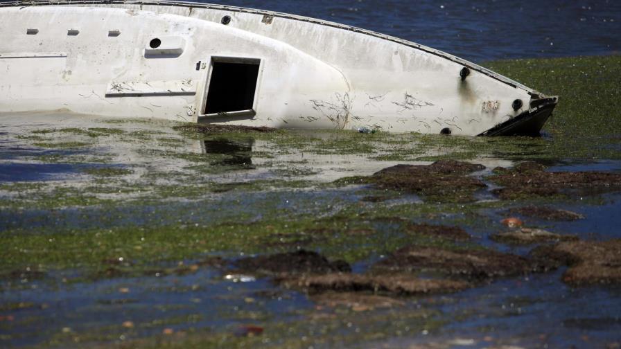 Invasión de algas afecta las playas del Caribe y al turismo 