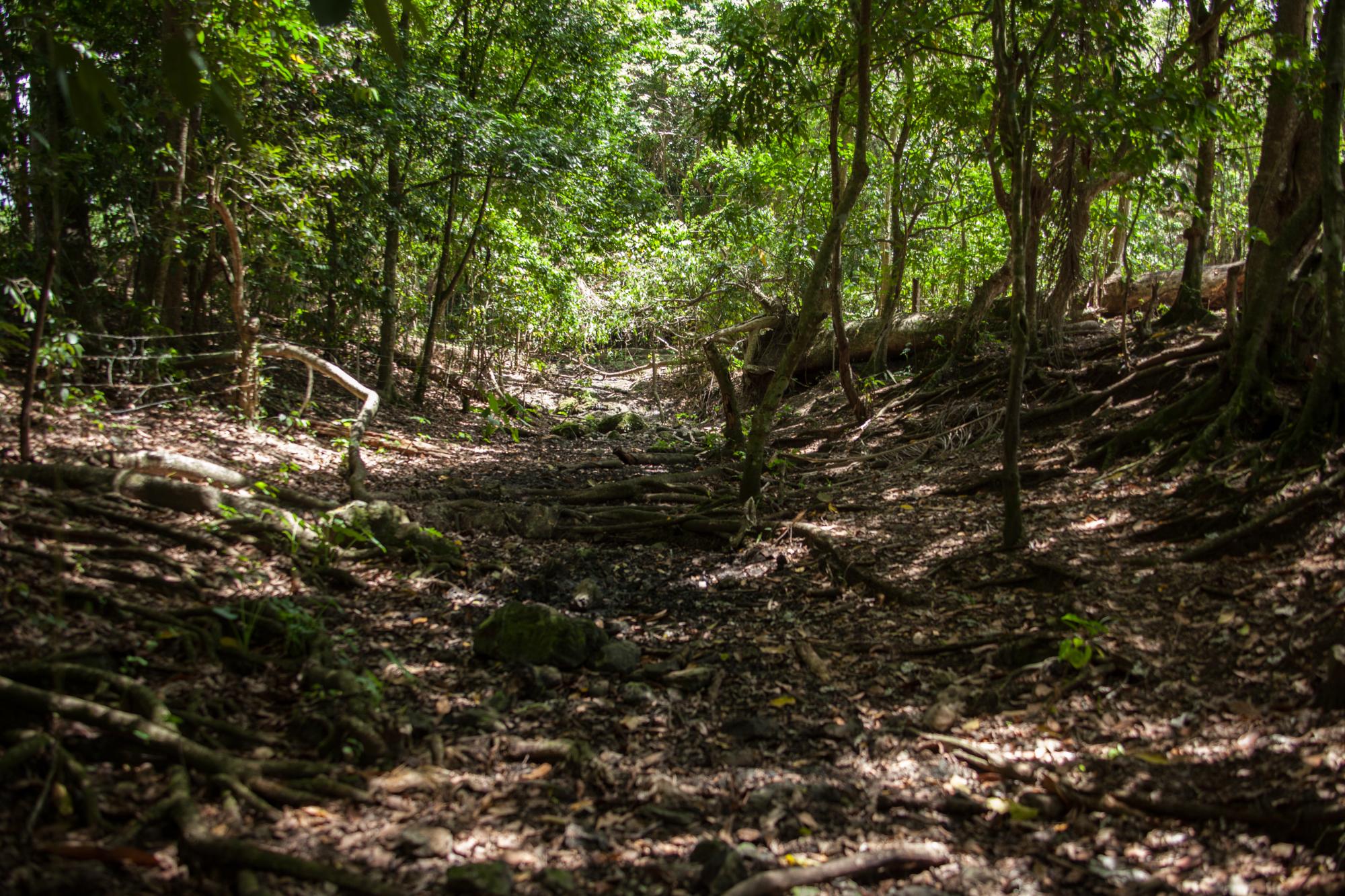 El cauce está seco y apenas quedan tres charcos con agua contaminada.