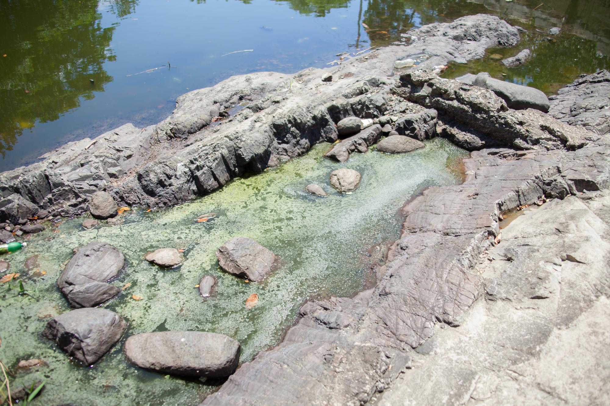 El caudal del río Seibo ha bajado. 