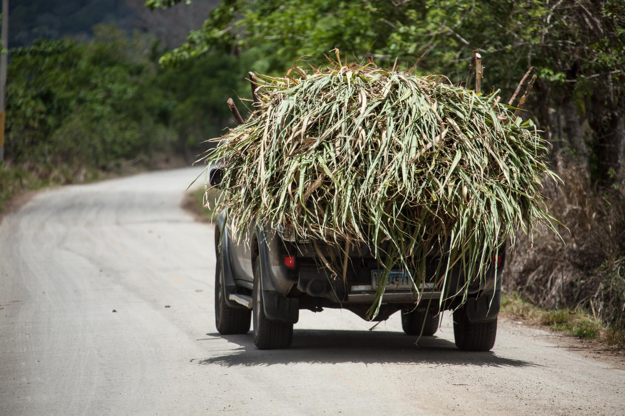 La hierba de las tierras se ha secado y los ganaderos tienen que salir a buscarla.