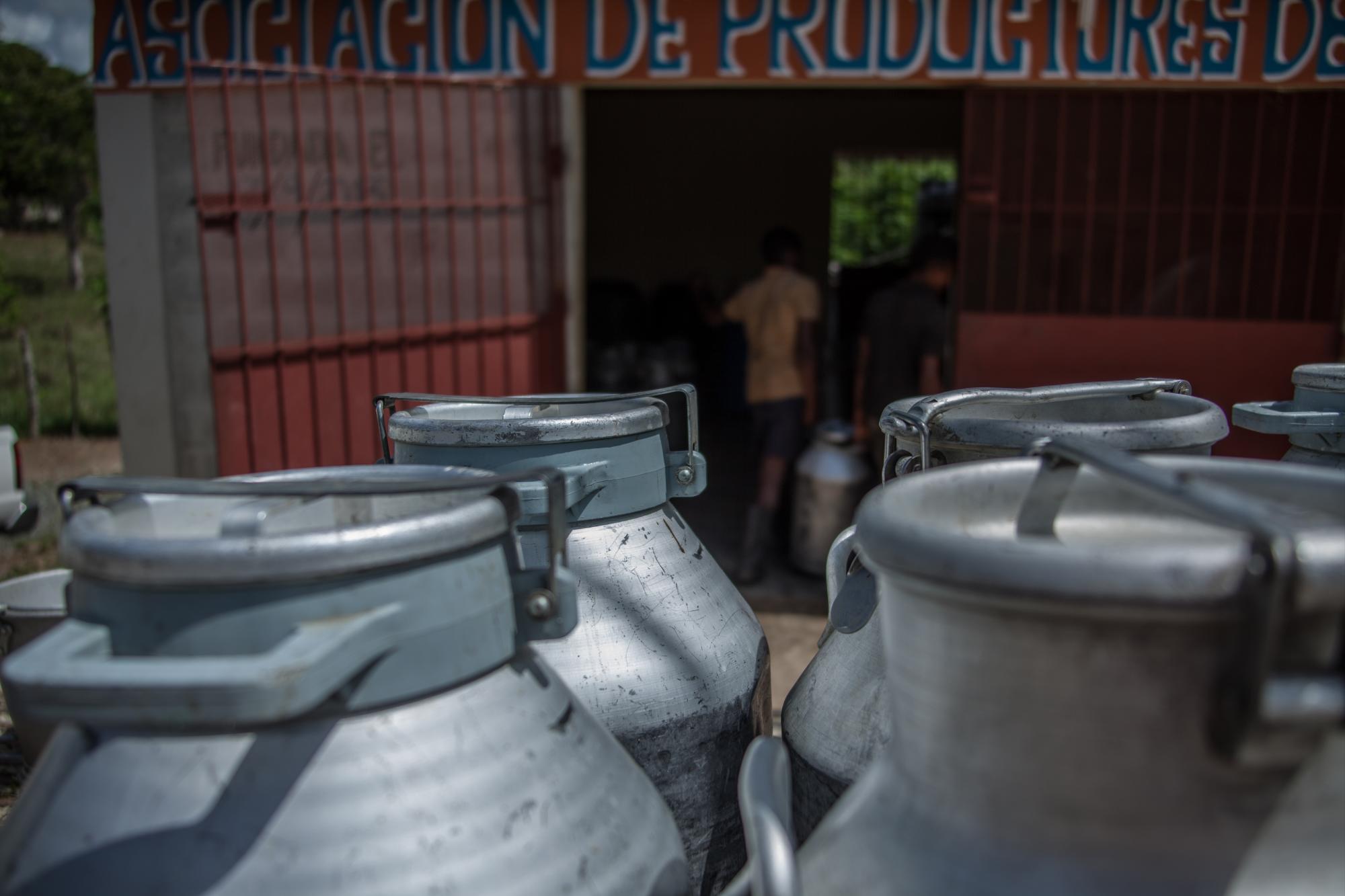 La producción de leche ha caído casi a la mitad. 