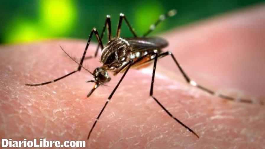 Nicaragua reporta la primera muerte por virus chikungunya