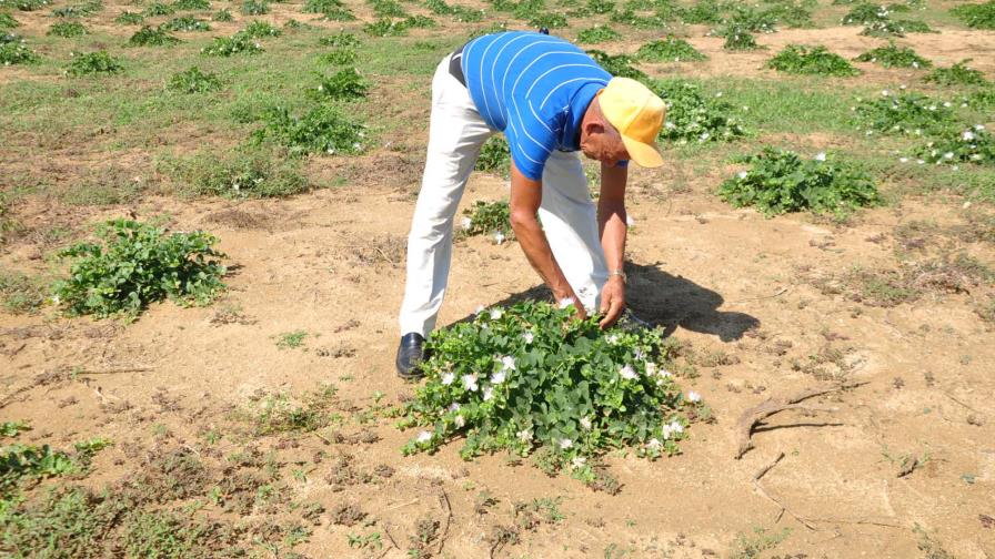 Avanza proyecto binacional de producción local en comunidades fronterizas