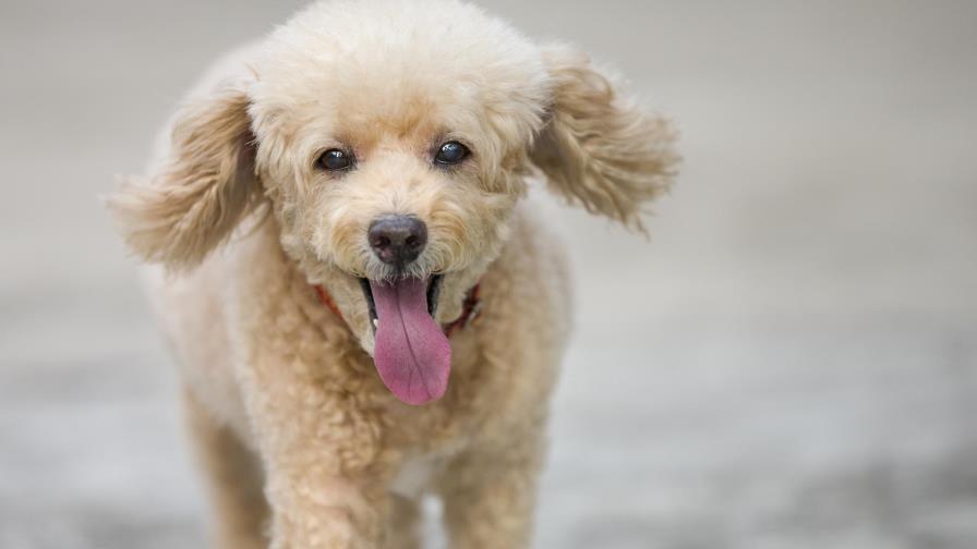 Paralizado por un derrame Paralizado por un derrame