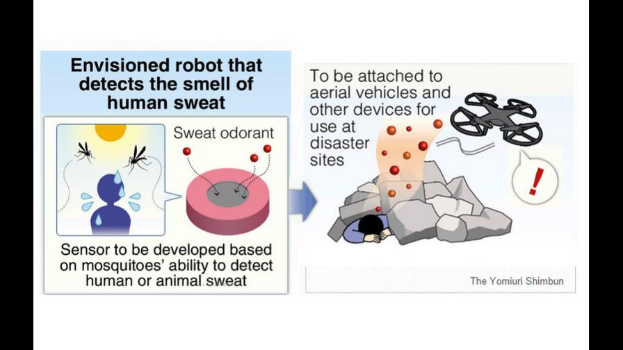 Científicos nipones diseñan robot de rescate capaz de detectar el olor humano